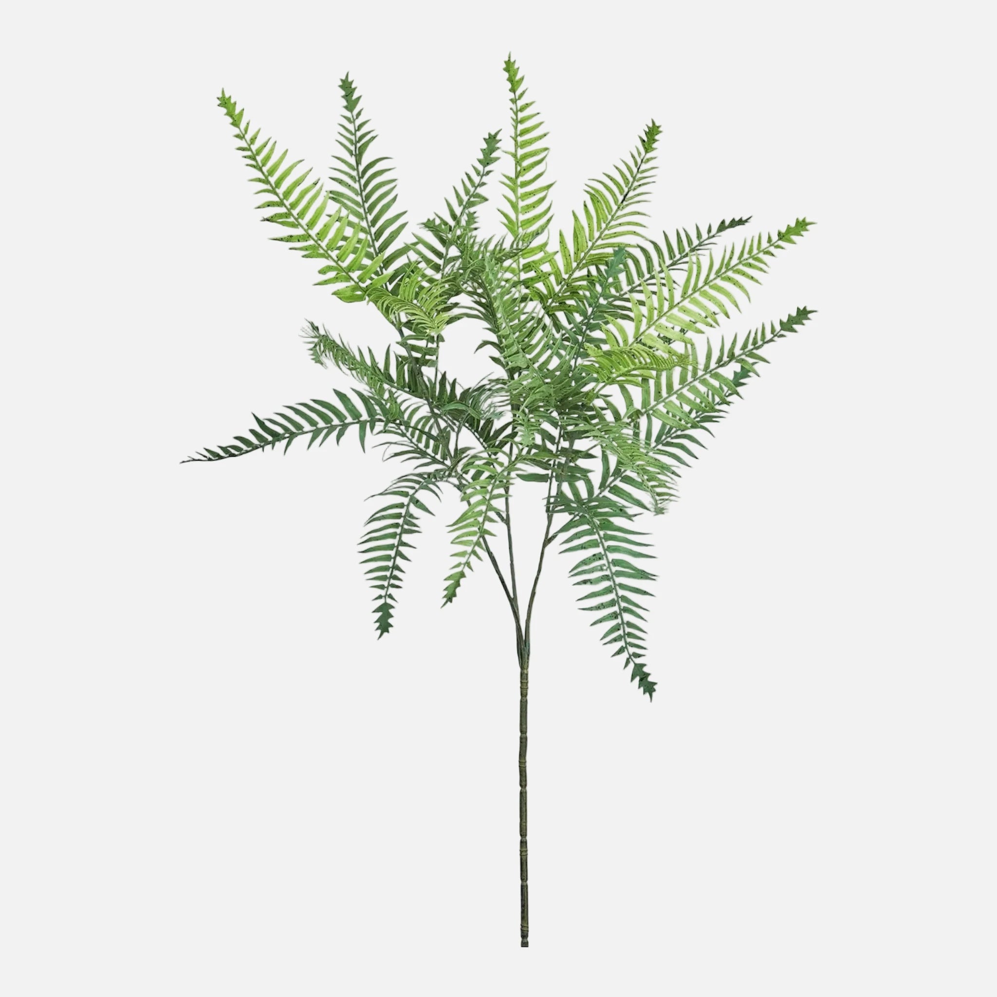 Mata de Helecho Slim Artificial