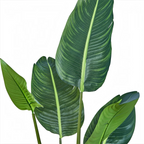Detalle de las hojas de la Strelitzia artificial de BOSSVI: hojas grandes con nervio central y textura realista