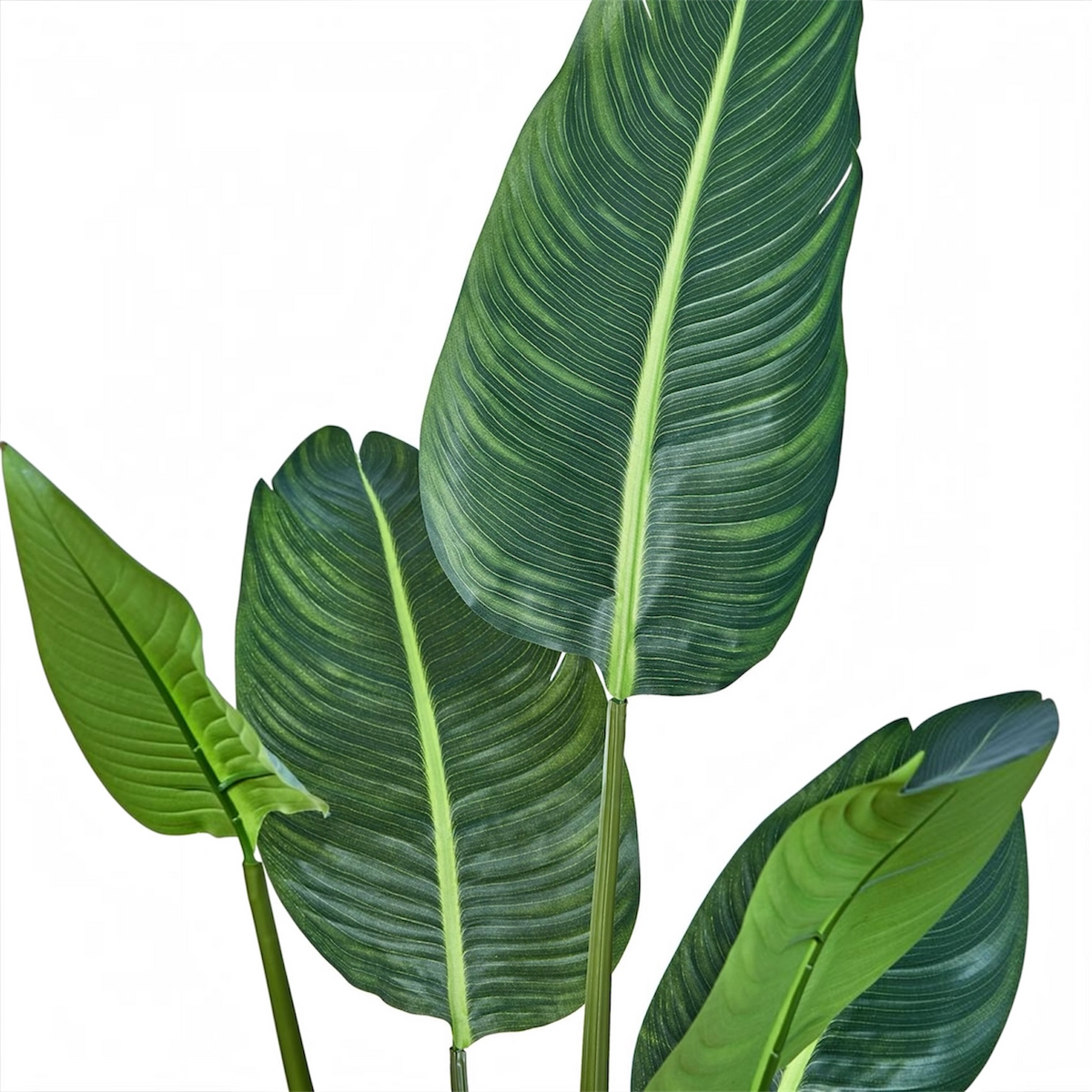 Detalle de las hojas de la Strelitzia artificial de BOSSVI: hojas grandes con nervio central y textura realista