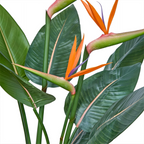 Detalle de la Strelitzia artificial de BOSSVI: flor naranja y morada y hojas con el nervio rosado