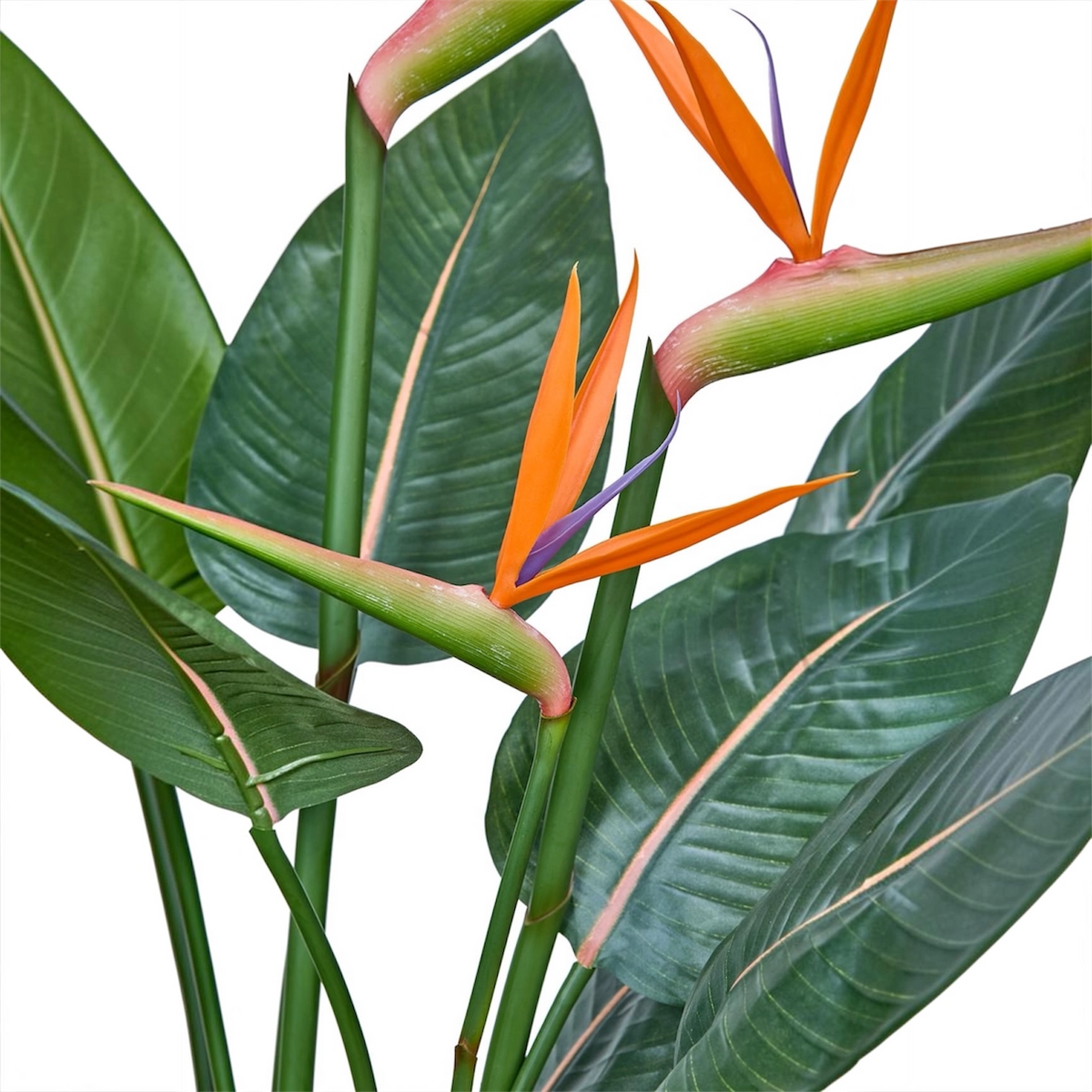 Detalle de la Strelitzia artificial de BOSSVI: flor naranja y morada y hojas con el nervio rosado