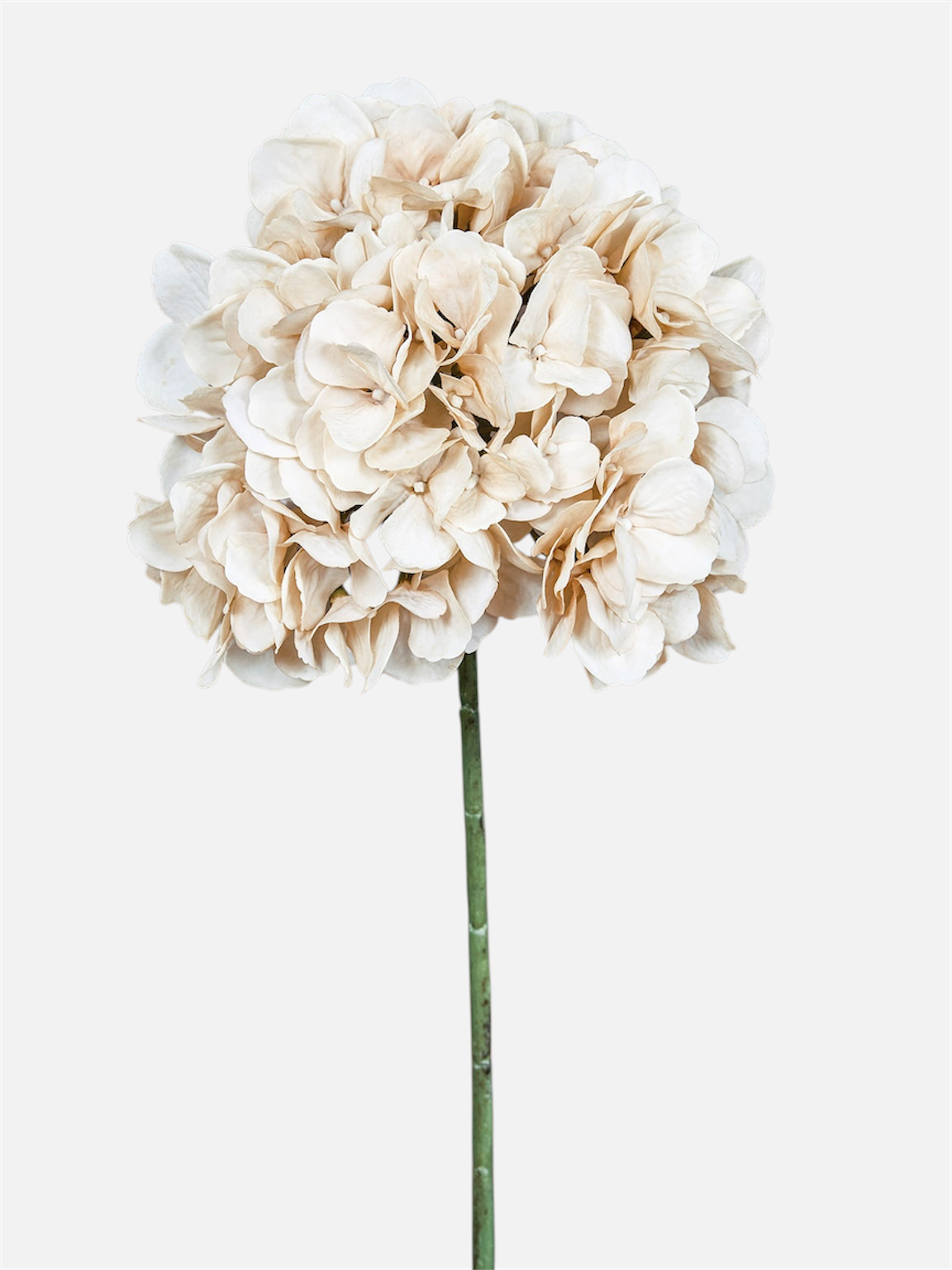 Hortensia Natural Touch artificial de 47 cm, color beige, flor entera con tallo · BOSSVI
