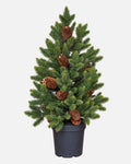 Abeto artificial de sobremesa con piñas de 60 cm · BOSSVI