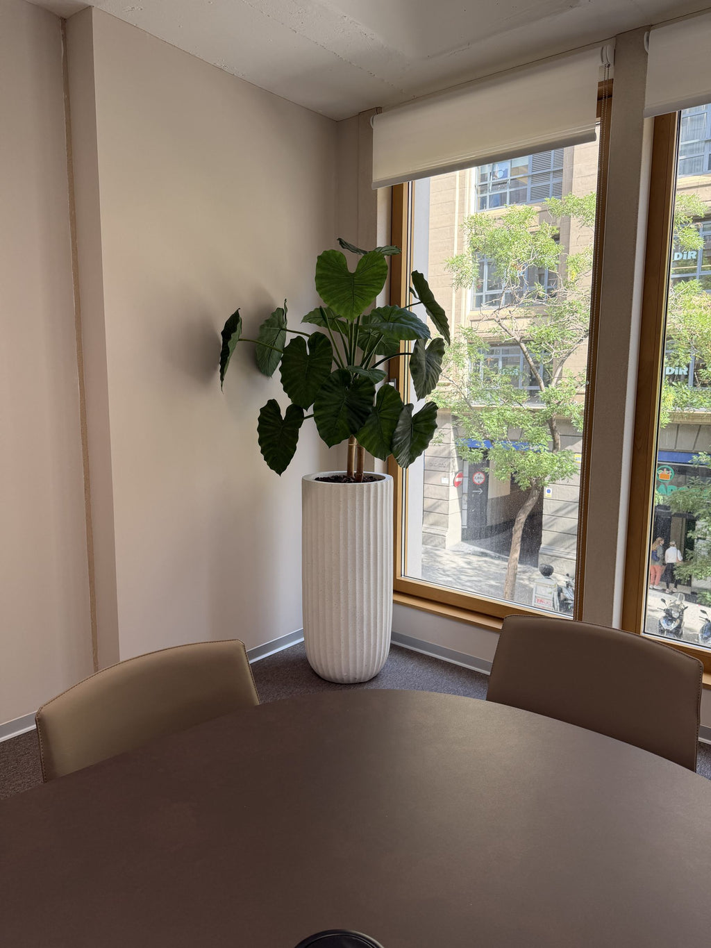 Alocasia compacta artificial de 120 cm en una oficina junto a la ventana · BOSSVI