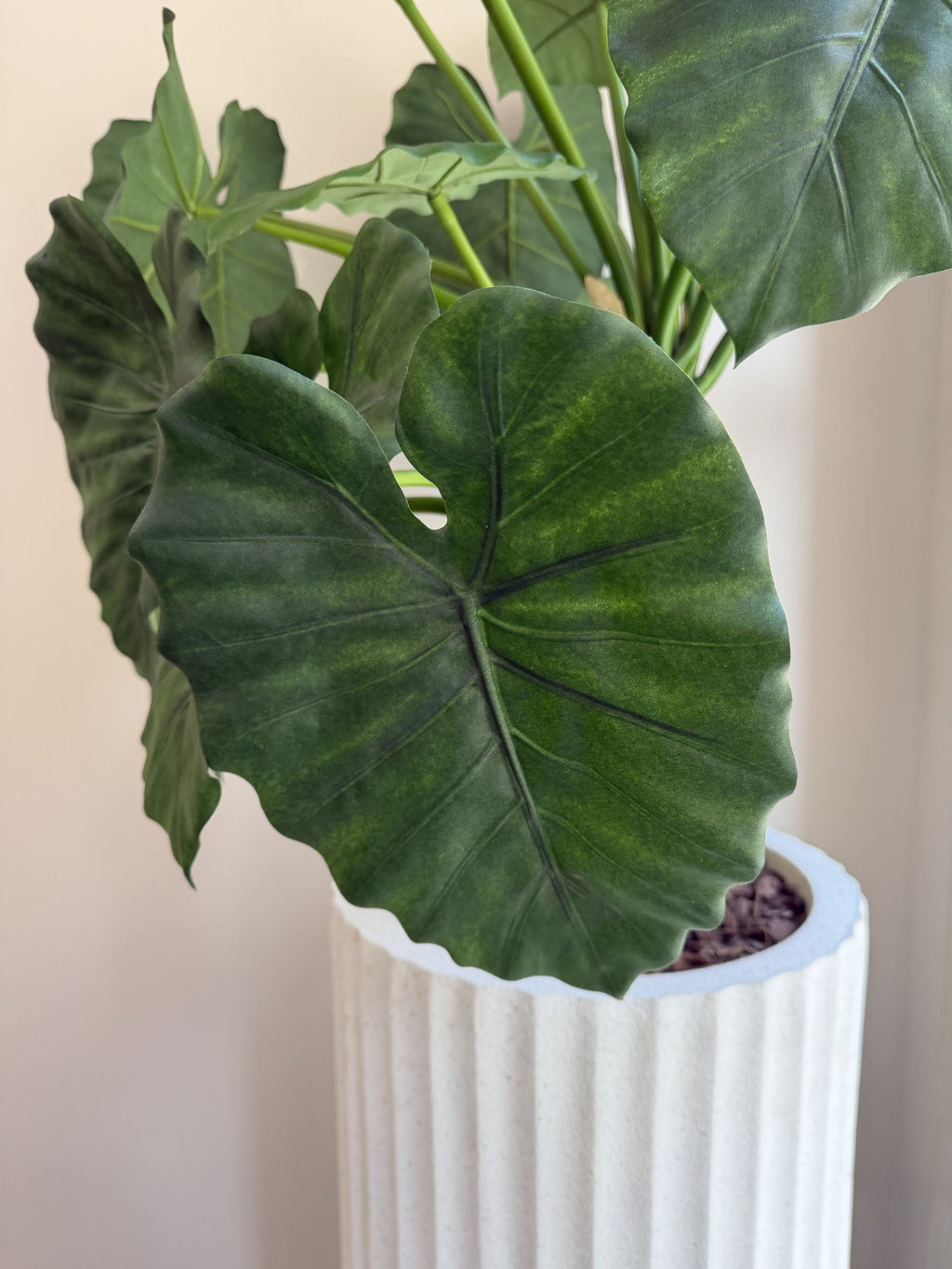 Alocasia compacta artificial de 120 cm, detalle de una hoja · BOSSVI