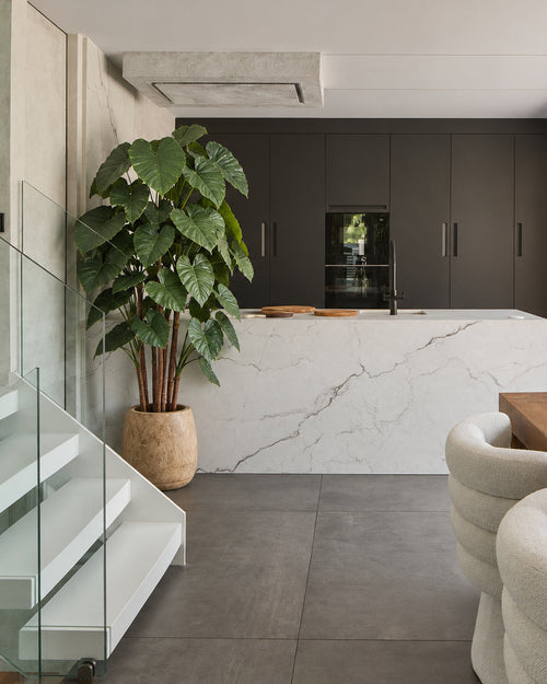 Alocasia Artificial Grande de 220 cm en una cocina con isla de mármol · BOSSVI