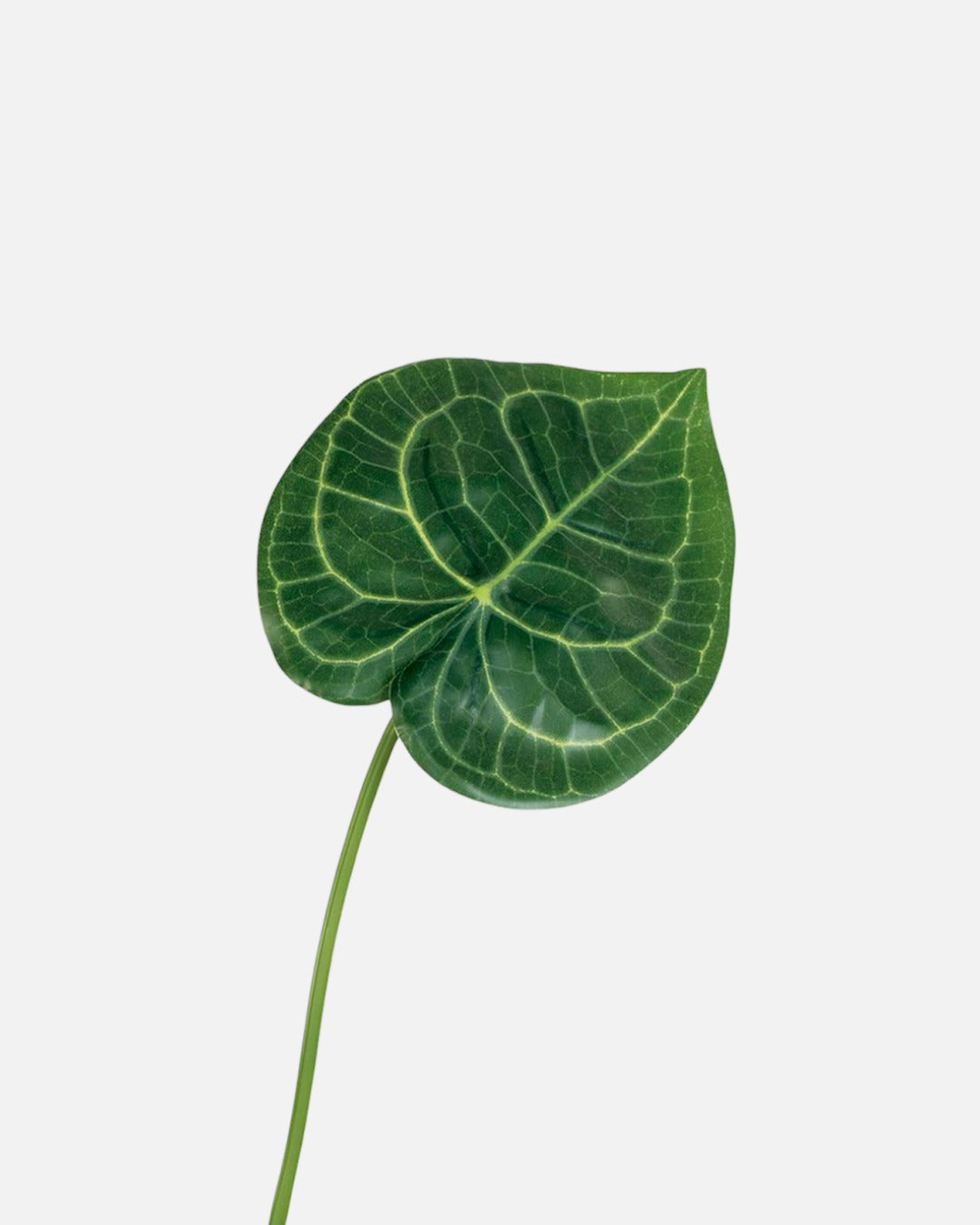Hoja de Anthurium Artificial de 47 cm, color verde · BOSSVI