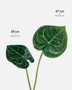 Comparativa de tamaños de la hoja de Anthurium Artificial, 39 cm y 47 cm · BOSSVI