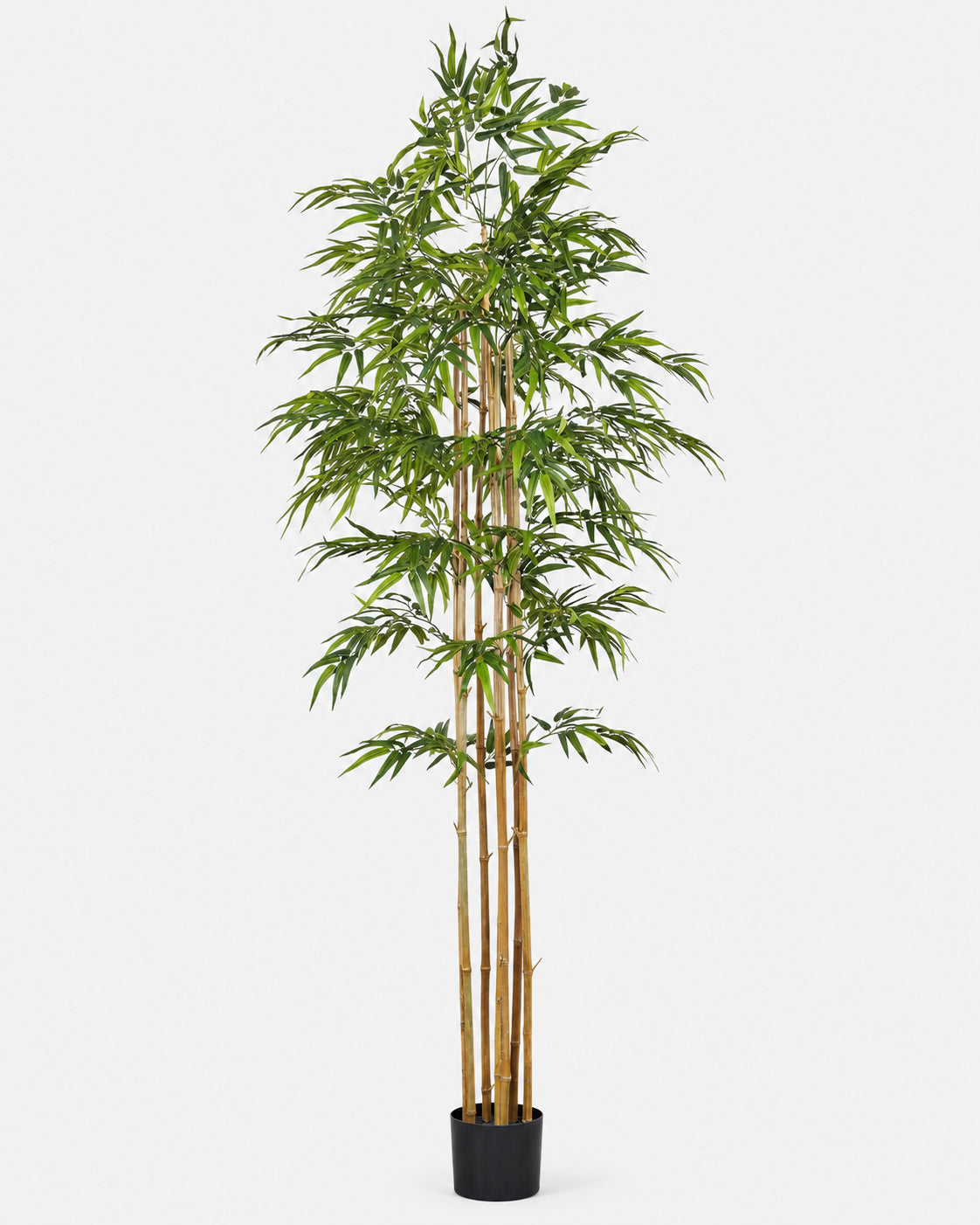 Bambú Artificial Clásico de 210 cm con 1.255 hojas, en su maceta de cultivo · BOSSVI