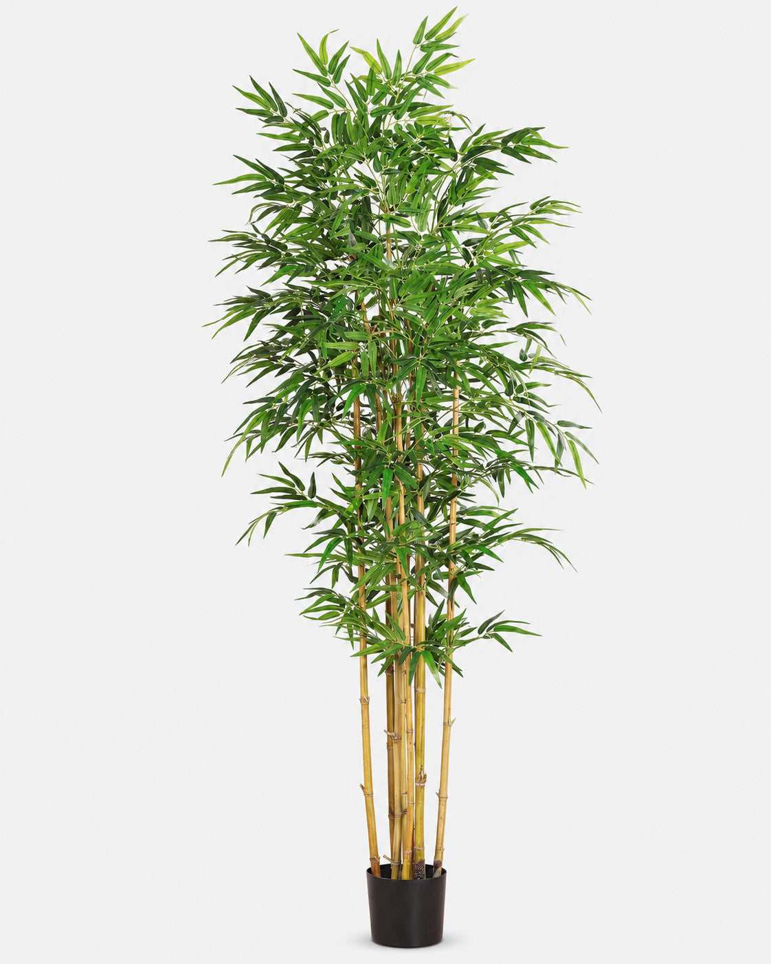Bambú Artificial Frondoso de 210 cm con 1.600 hojas, en su maceta de cultivo · BOSSVI