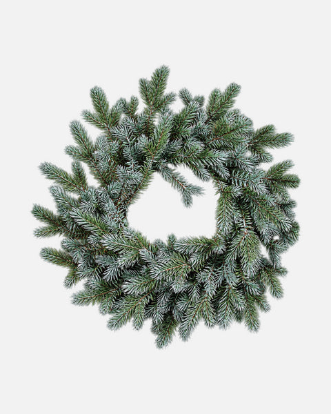 Corona de Navidad Abies Amabilis