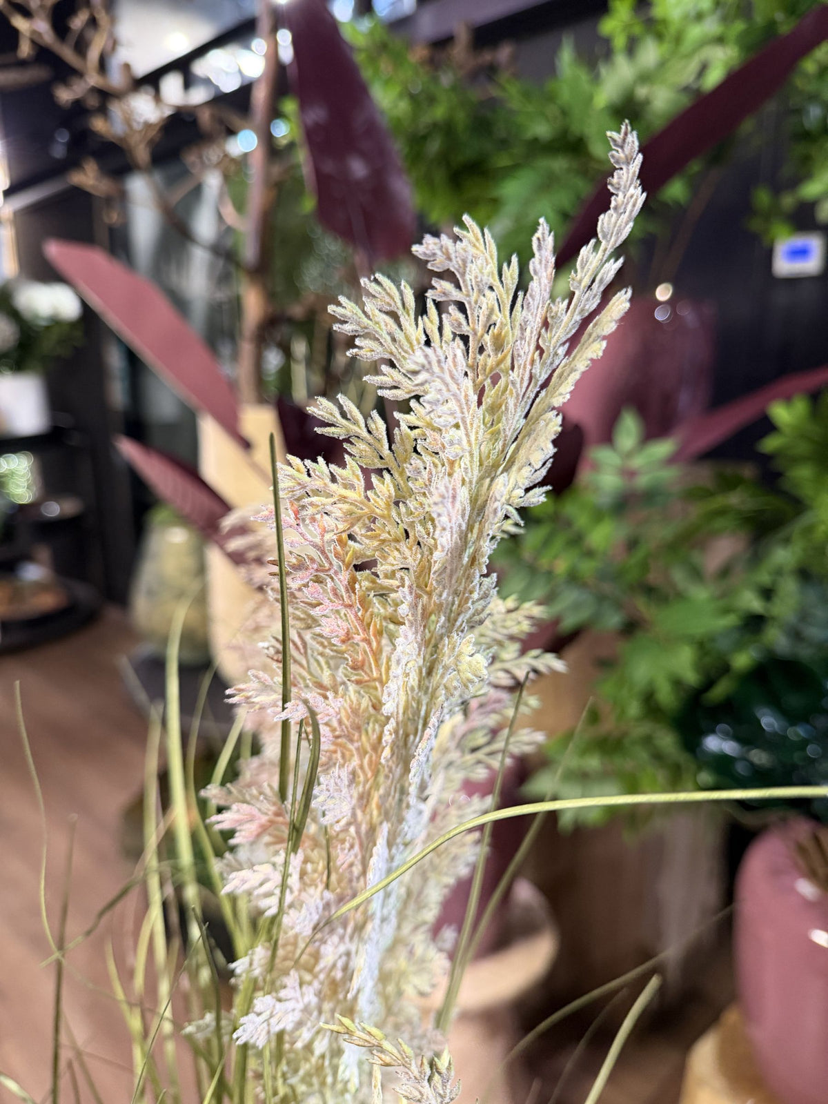 Cortaderia artificial, detalle de la pluma en tonos rosado y beige · BOSSVI