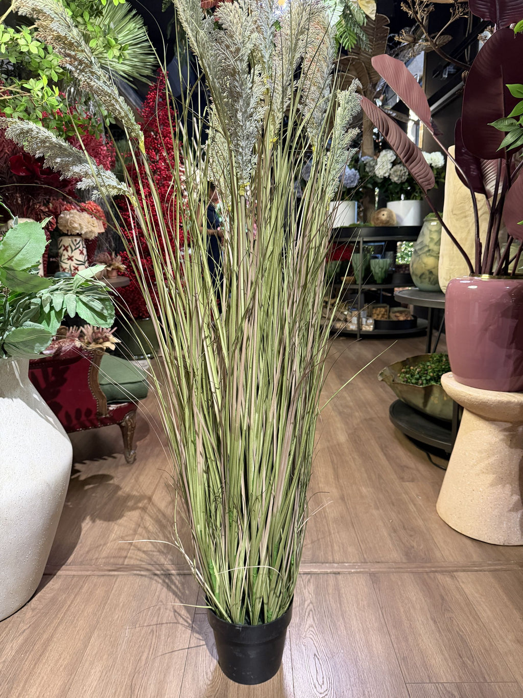 Cortaderia artificial, planta entera con plumas y hojas largas · BOSSVI