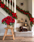 Escalera con tres guirnaldas balsámicas Maxi, cinta y lazos rojos de terciopelo y poinsettia en cesta de ratán · BOSSVI