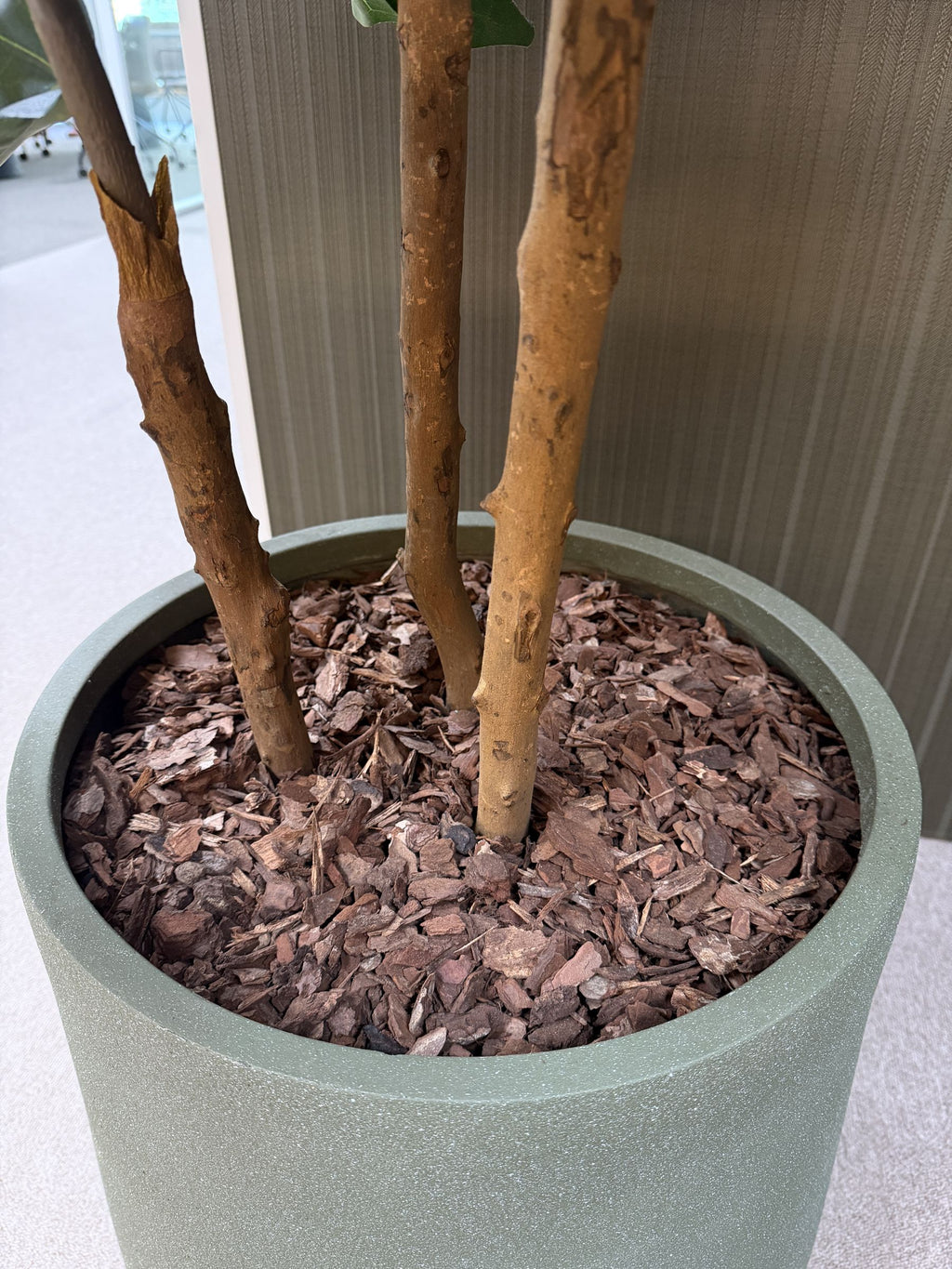 Ficus lyrata de copa abierta artificial de 200 cm, base con la maceta · BOSSVI