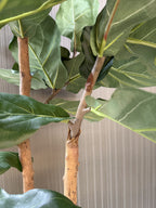 Ficus lyrata de copa abierta artificial de 200 cm, detalle de los troncos · BOSSVI