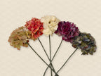 Las cinco hortensias Natural Touch en abanico: mixturado, cereza, beige, berenjena y azul intenso · BOSSVI