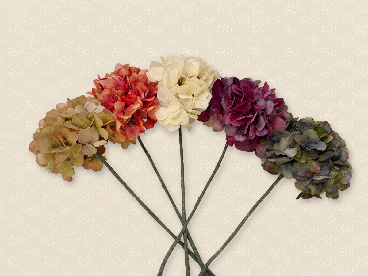 Las cinco hortensias Natural Touch en abanico: mixturado, cereza, beige, berenjena y azul intenso · BOSSVI