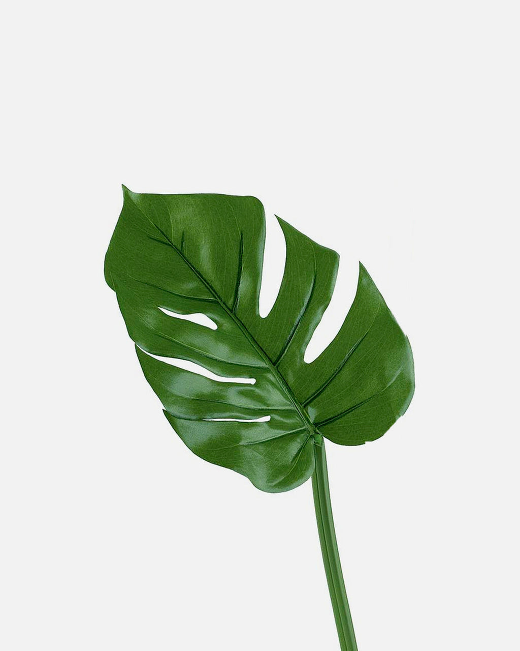 Hoja de Philodendron Artificial de 47 cm, color verde · BOSSVI