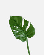 Hoja de Philodendron Artificial de 47 cm, color verde · BOSSVI