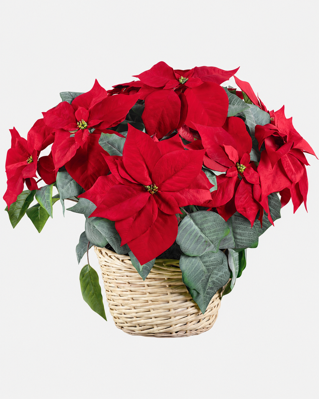 Poinsettia artificial roja en cesta de ratán de 53 cm · BOSSVI