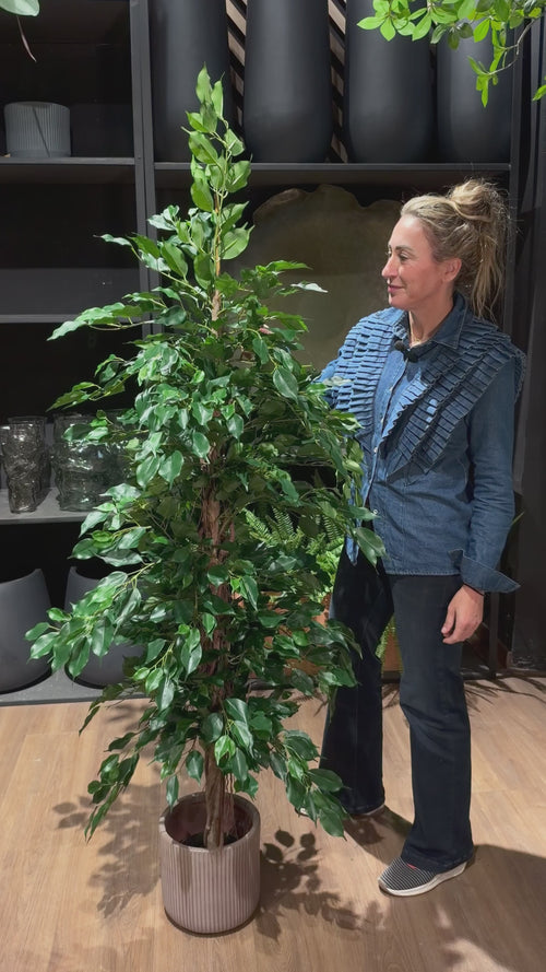Laia presenta el Ficus Exótica artificial de 170 cm y enseña de cerca sus hojas y su tronco · BOSSVI