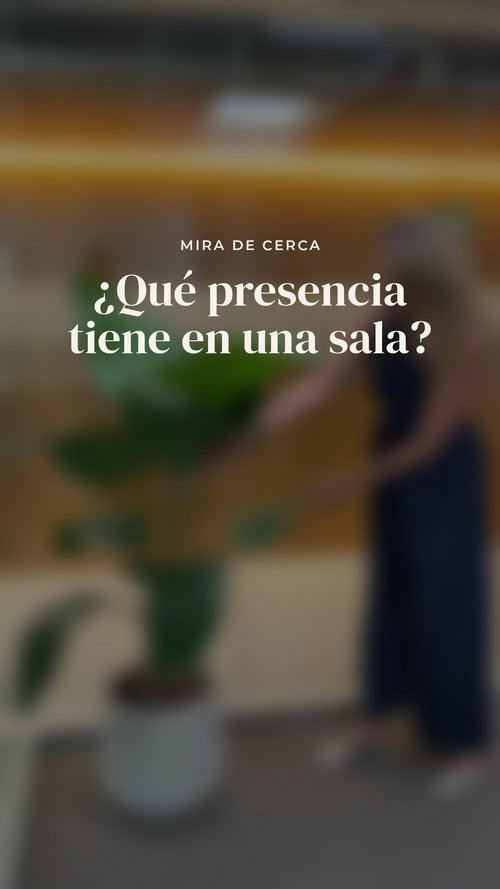 La Traveller Palm artificial de 152 cm en una sala real, vista de cerca y de lejos · BOSSVI