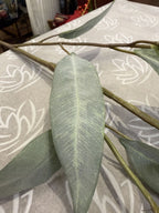 Rama de eucalipto Camaldulensis artificial de 91 cm, detalle de una hoja · BOSSVI