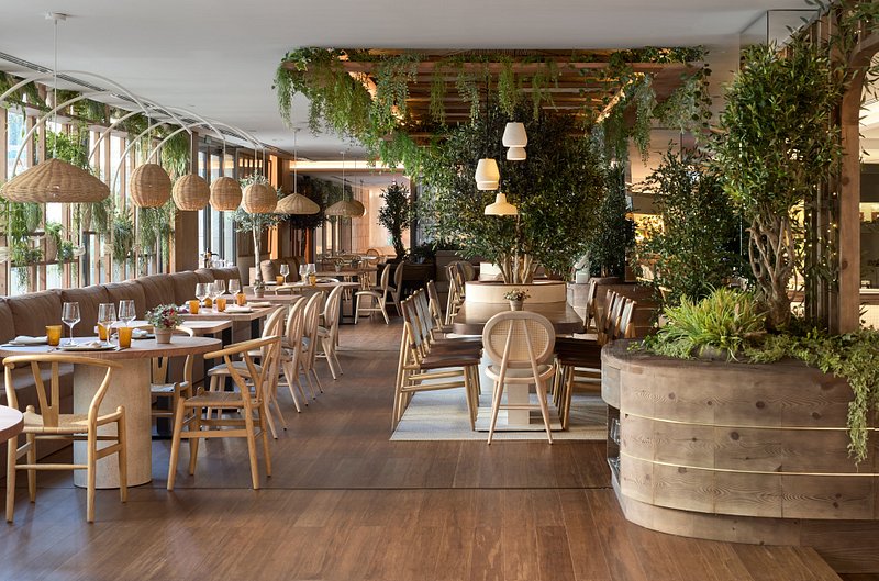▷ Plantas artificiales para decorar restaurantes y hoteles